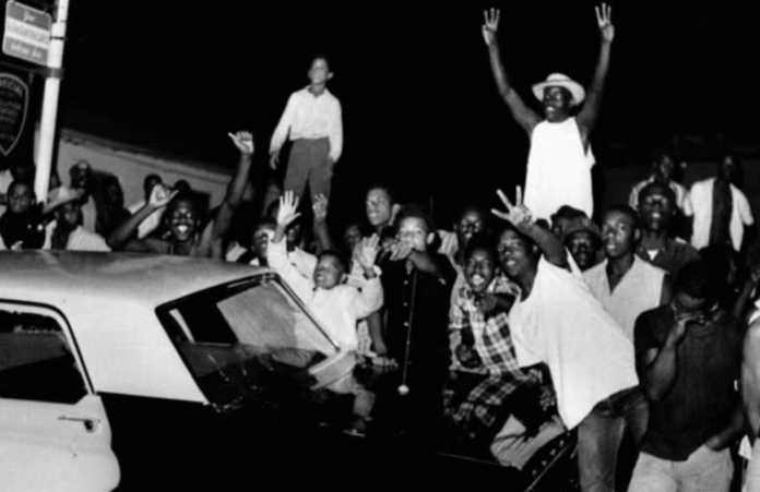 The 1965 Watts Riots as a Symbol of Race Struggle - layes.info